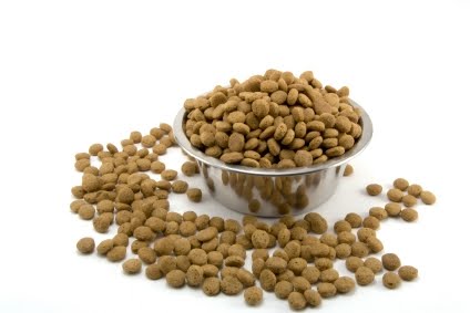 Kibble:  An Introduction to Dry Dog Food